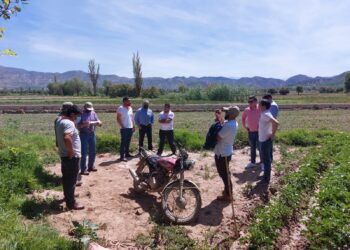 Ecofuturo apuesta por Cochabamba, ahorristas pasan los 45.000 clientes