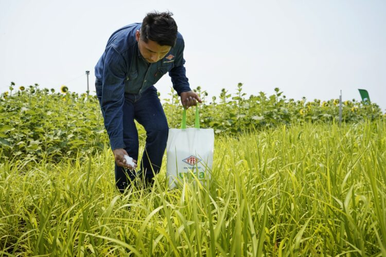 Santa Cruz consume el 63% de la urea que produce YPFB