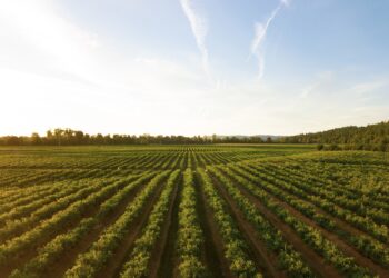Innovación & Sostenibilidad: Tigre lanza su nueva línea de productos para el agro