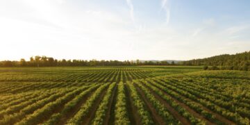 Innovación & Sostenibilidad: Tigre lanza su nueva línea de productos para el agro