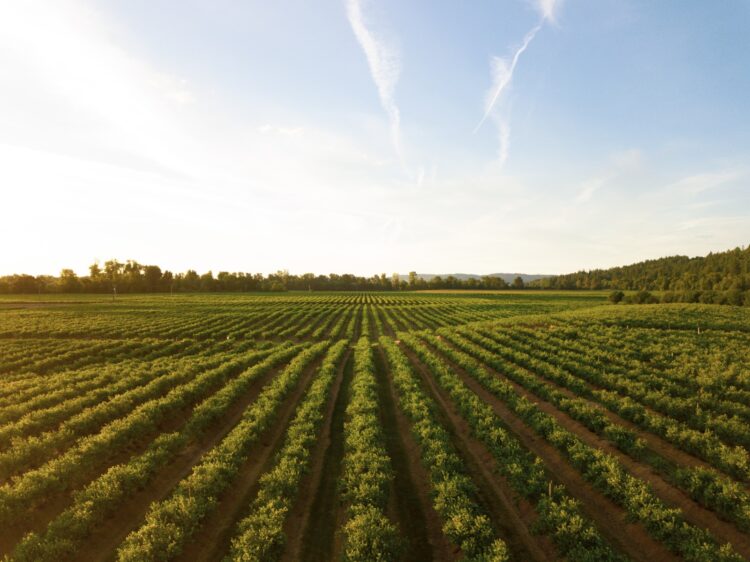 Innovación & Sostenibilidad: Tigre lanza su nueva línea de productos para el agro