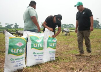 urea