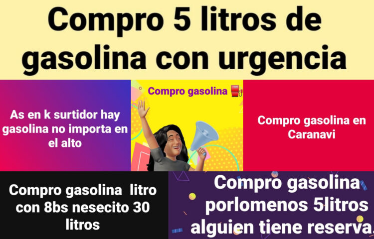 gasolina
