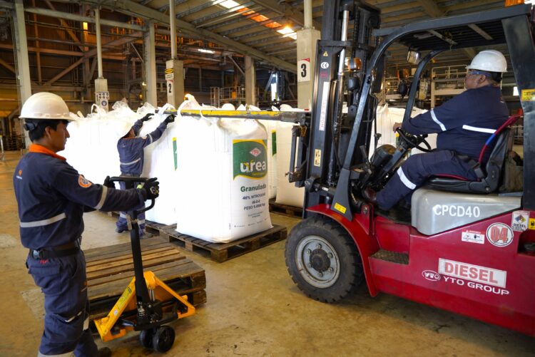 Producción de urea en Bolivia rompe récord y crece un 51% en 2024
