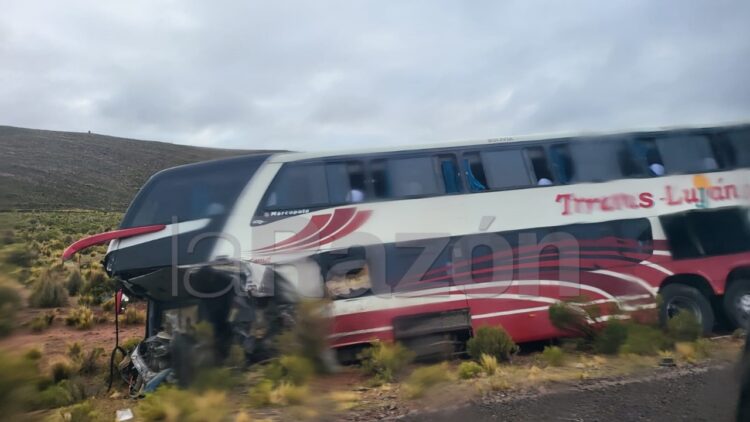 bus