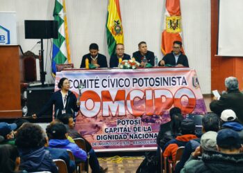 litio