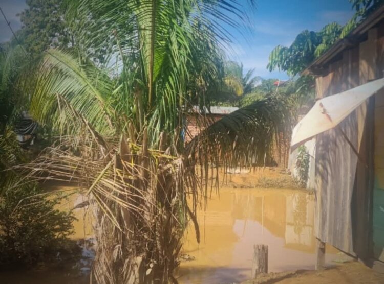 Cobija
