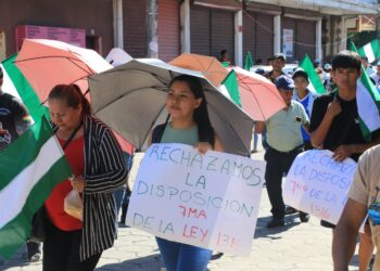 Analista y Gobierno coinciden: marcha contra disposición séptima fue ‘esporádica’