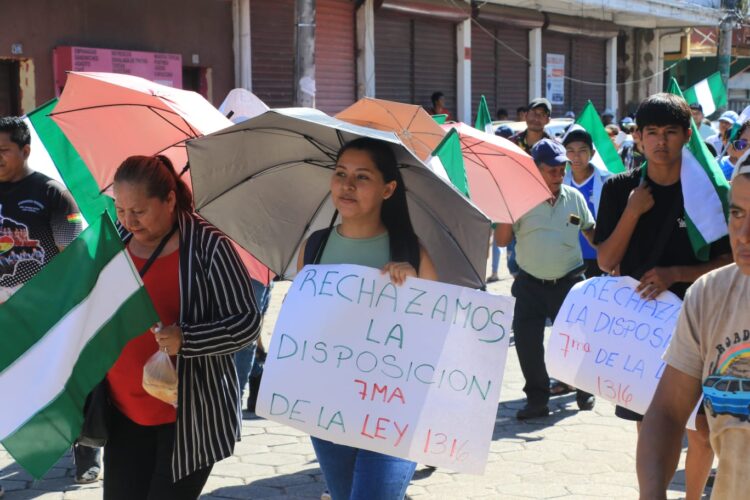 Analista y Gobierno coinciden: marcha contra disposición séptima fue ‘esporádica’