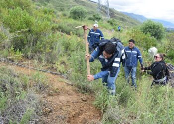 ENDE reforesta 7 hectáreas del Parque Nacional Tunari con 7.000 plantines nativos