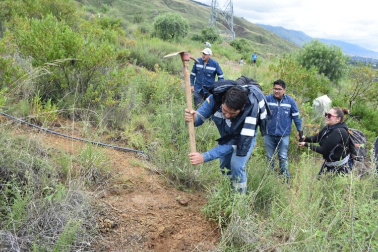 ENDE reforesta 7 hectáreas del Parque Nacional Tunari con 7.000 plantines nativos