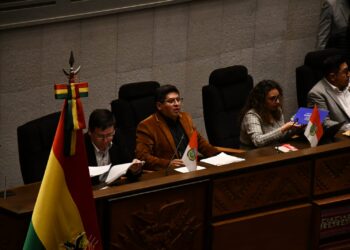 Asamblea rechaza crédito de $us 100 millones para desastres y voto exterior