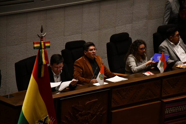 Asamblea rechaza crédito de $us 100 millones para desastres y voto exterior