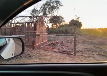 Anapo denuncia ‘retén ilegal’ que bloquea acceso a 70.000 hectáreas productivas