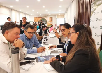Más de 80 empresas participarán en la Rueda Internacional de la Industria Forestal
