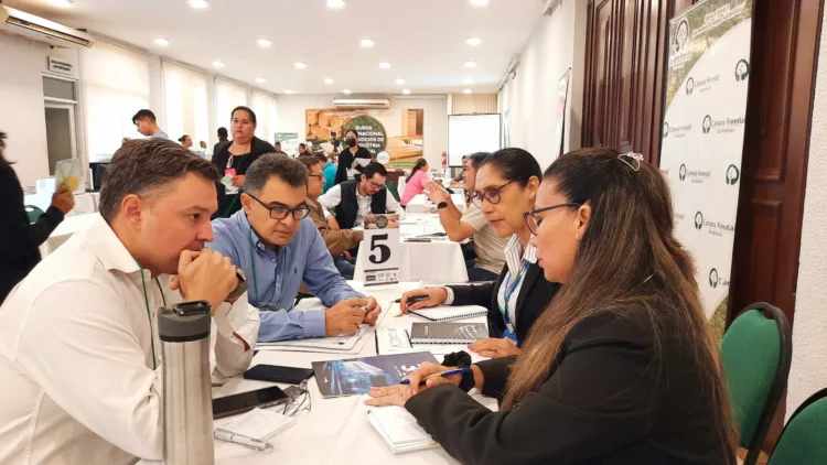 Más de 80 empresas participarán en la Rueda Internacional de la Industria Forestal