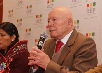 Hassenteufel se quedará al mando del TSE hasta después de las elecciones