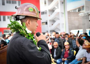 Andrónico se da dos semanas para decidir si es candidato o no