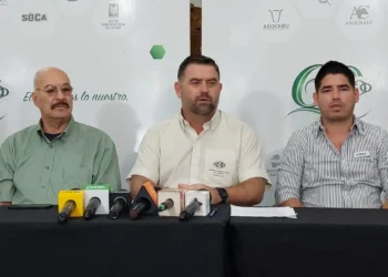Santa Cruz busca eliminar la peste porcina y exportar carne de cerdo