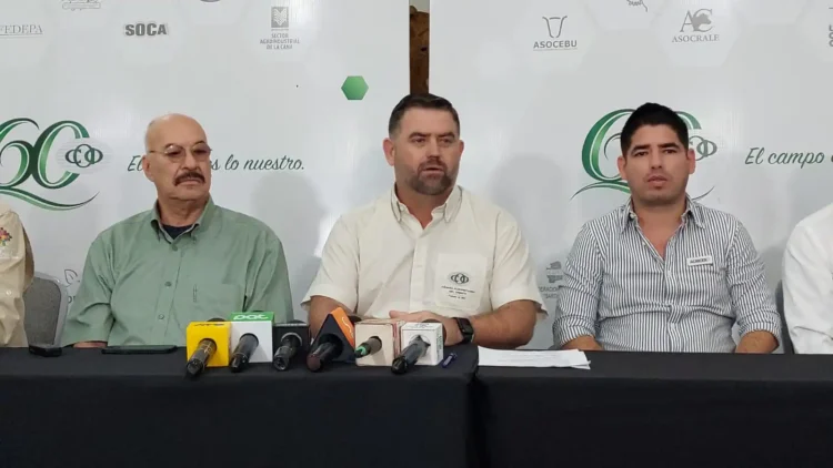 Santa Cruz busca eliminar la peste porcina y exportar carne de cerdo
