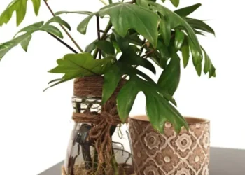 Nescafé lanza campaña por el Día Mundial del Reciclaje e invita a reinventar sus frascos con creatividad