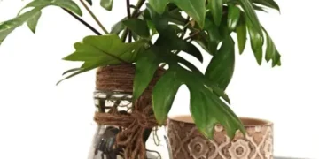 Nescafé lanza campaña por el Día Mundial del Reciclaje e invita a reinventar sus frascos con creatividad