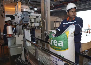El 96% de la urea producida en el país es exportada a cinco países