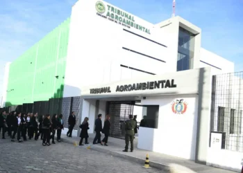 Derecho agrario: copiar, pegar y vender en la acera