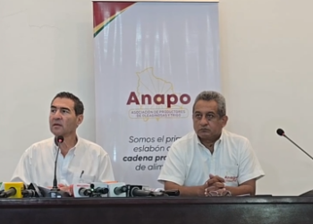 Anapo exige nuevamente al Gobierno liberar la exportación de soya