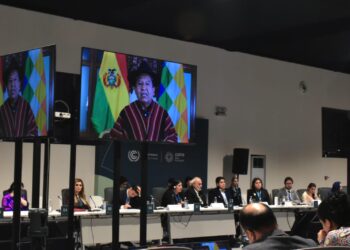 Bolivia propone un mecanismo conjunto regional amazónico para proteger los bosques