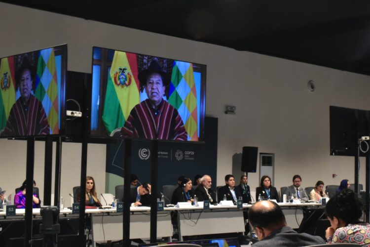 Bolivia propone un mecanismo conjunto regional amazónico para proteger los bosques
