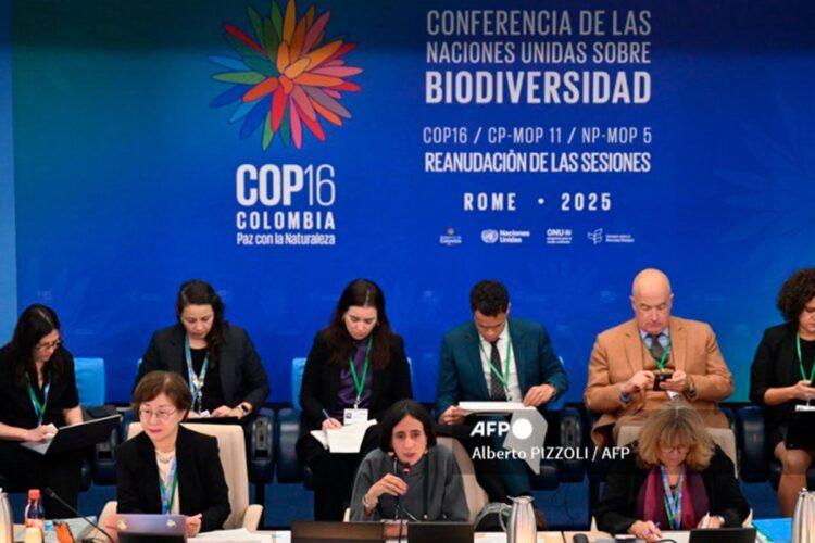 biodiversidad.jpg