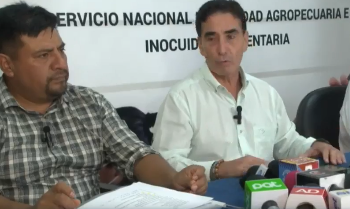 Gobierno libera segunda semilla de soya modificada genéticamente para la siembra de verano