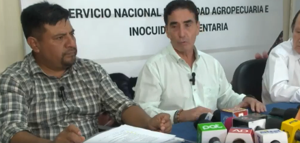 Gobierno libera segunda semilla de soya modificada genéticamente para la siembra de verano