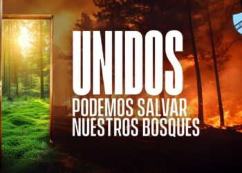 Bolívar y Ríos de Pie recaudan víveres para víctimas de incendios