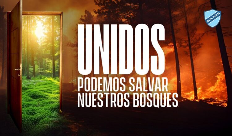 Bolívar y Ríos de Pie recaudan víveres para víctimas de incendios