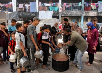Distribución de comida en Gaza