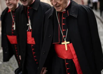 cardenales.jpg