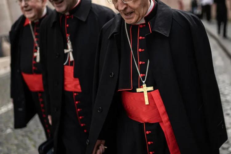 cardenales.jpg