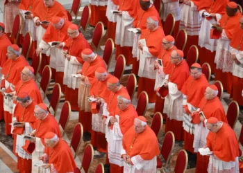 cardenales_papa.jpg