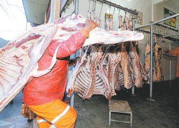 Gobierno plantea comisión que analice los cupos de exportación de carne de res para 2025