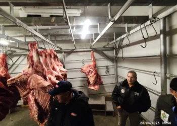 Kilo gancho de carne de res disminuye hasta Bs 30 en La Paz