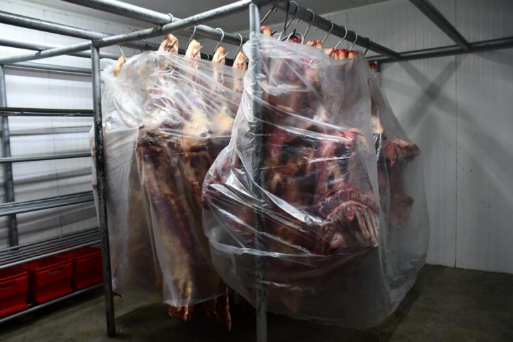 carne