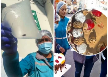 Insectos pegados a tortas además de productos vencidos fueron halados en un operativo. FOTO: GAMLP