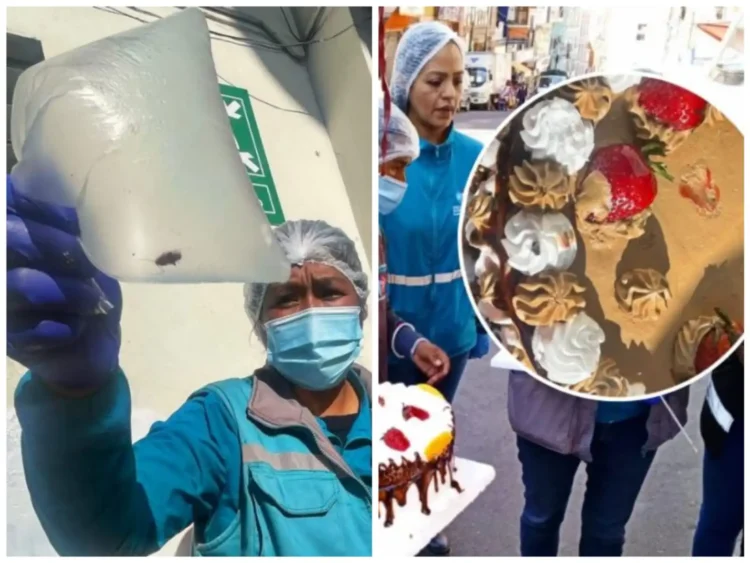 Insectos pegados a tortas además de productos vencidos fueron halados en un operativo. FOTO: GAMLP