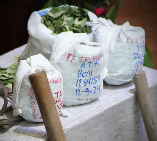 Planta Kokabol procesará 432 toneladas de hoja de coca por año