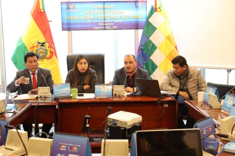 Comisión de Constitución de Diputados sesiona y abordará el proyecto de ley de escaños