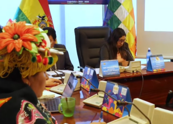 Diputados aprueba ley para recuperar $us 3 millones por daños a derechos humanos