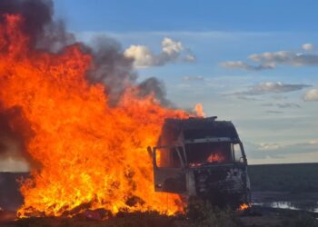 En lo que va de 2025 se afectó al contrabando en más de Bs 10 millones