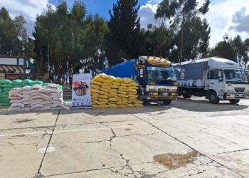 En 48 horas se afectó al contrabando por más de Bs 1,5 millones